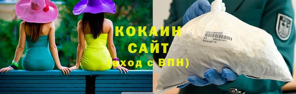 твердый Алексин