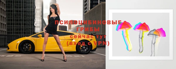 а пвп мука Алзамай