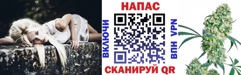 Конопля MAZAR Ипатово